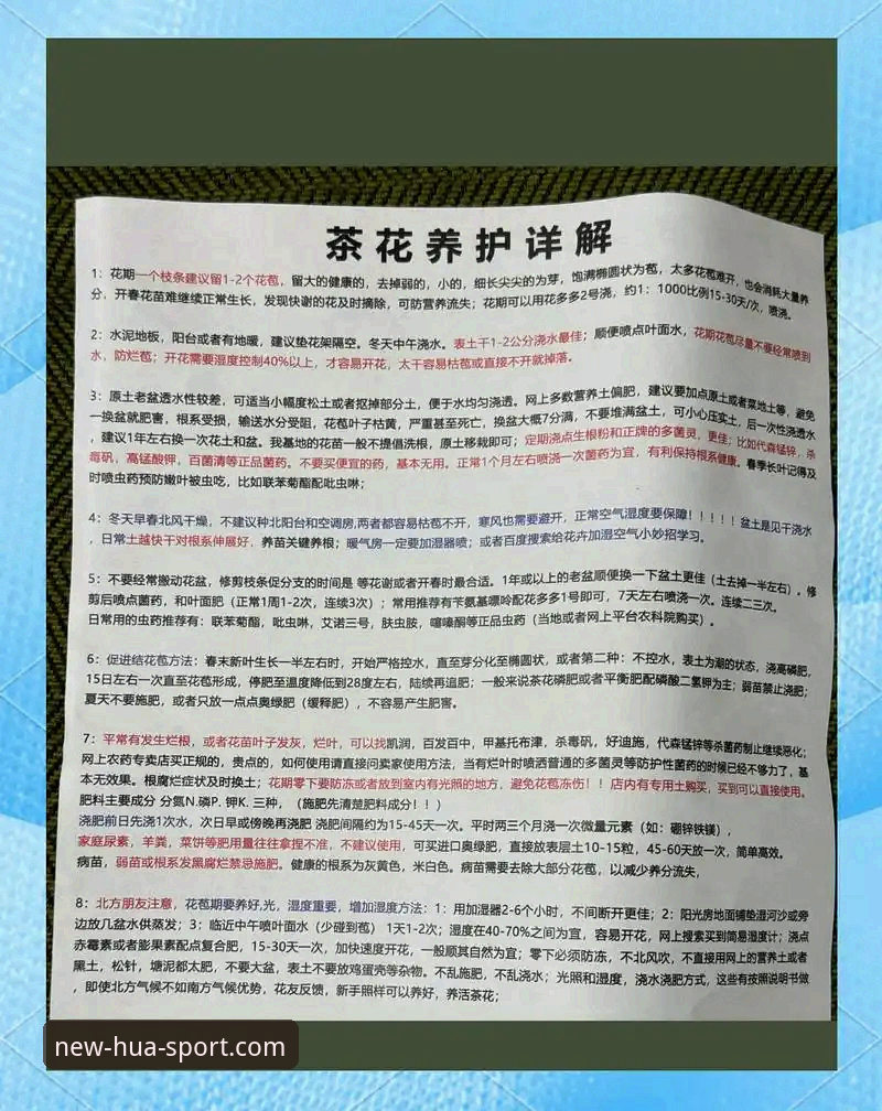 华体育怎么玩？新手必看的4个快速上手技巧与操作指南